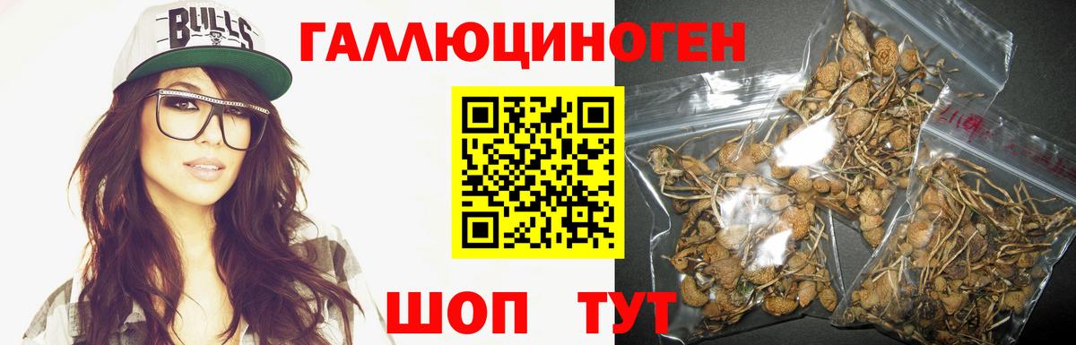 Галлюциногенные грибы мухоморы  Вход с VPN  Дмитров 
