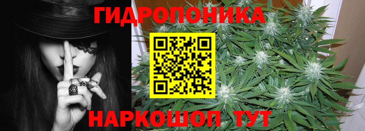 Шишки марихуана гибрид Дмитров